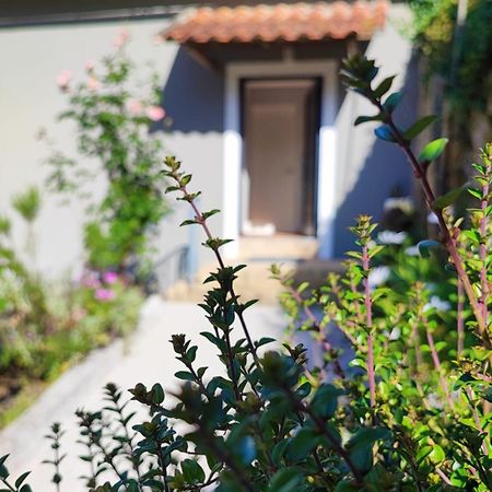 Casa 1883 Villa Cevide Ngoại thất bức ảnh